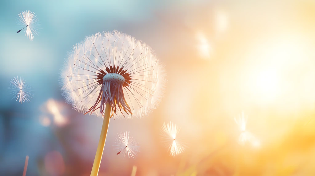 dandelion seed drifting gracefully desktop wallpaper 4k